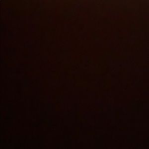 Meet your Posher, Delaney